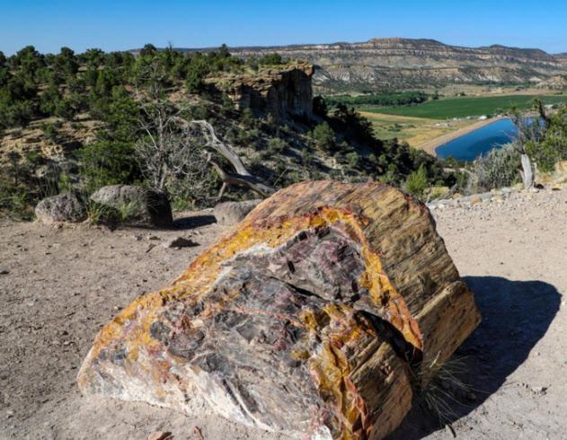 Canyons Of Escalante Rv Park 외부 사진