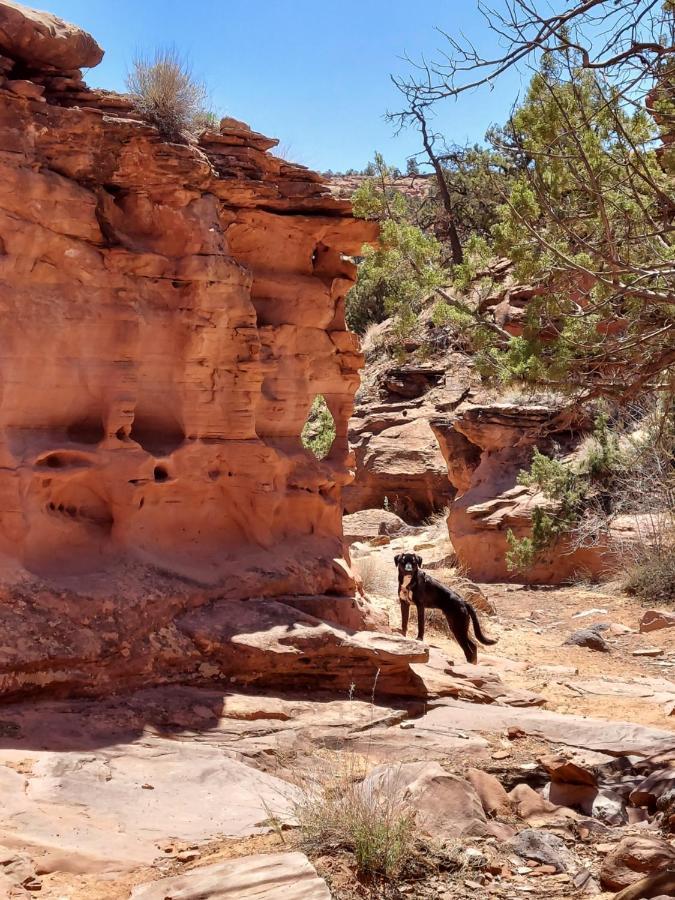 Canyons Of Escalante Rv Park 외부 사진